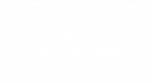 sarservice logo